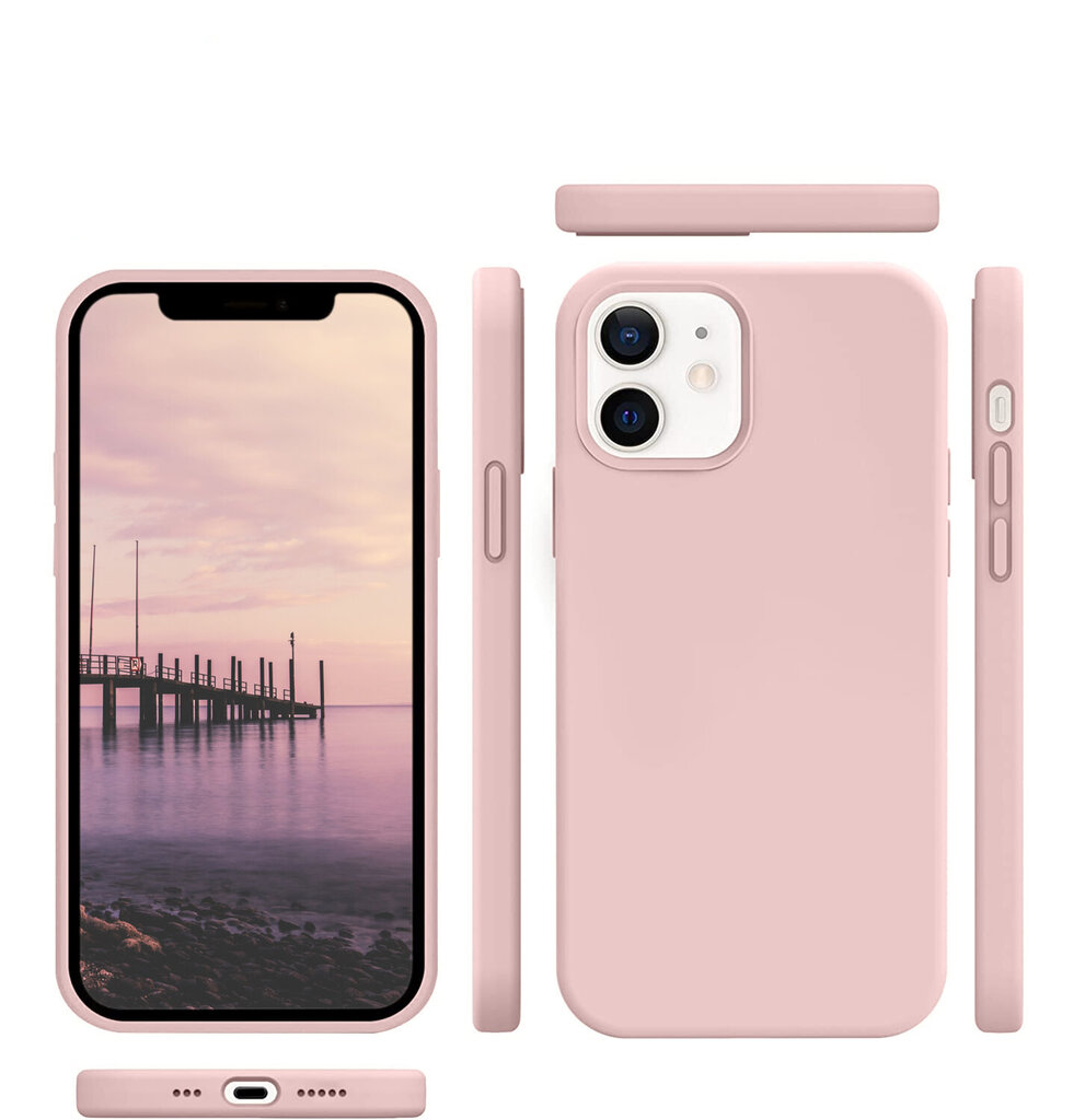 Silikoonist ümbris Apple iPhone 12 Pro (real liquide silicone - Easy Clean), roosa Delicate Rose цена и информация | Telefoni kaaned, ümbrised | kaup24.ee