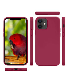 Protection set -silikoonist ümbris Apple iPhone 12 (real liquide Easy clean) punane - Parrot Red + ekraani kaitseklaas Privacy цена и информация | Чехлы для телефонов | kaup24.ee