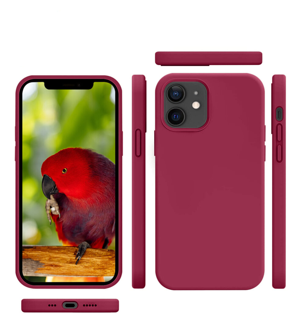Protection set -silikoonist ümbris Apple iPhone 12 (real liquide Easy clean) punane - Parrot Red + ekraani kaitseklaas Privacy цена и информация | Telefoni kaaned, ümbrised | kaup24.ee