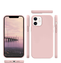 Protection set -silikoonist ümbris Apple iPhone 12 (real liquide Easy clean) roosa Delicate Rose + ekraani kaitseklaas Privacy hind ja info | Telefoni kaaned, ümbrised | kaup24.ee