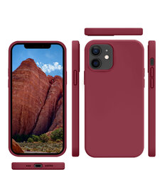 Protection set -silikoonist ümbris Apple iPhone 12 Pro (real liquide Easy clean) punane - Rock Red + ekraani kaitseklaas Privacy hind ja info | Telefoni kaaned, ümbrised | kaup24.ee