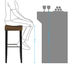 Комплект барных стульев, искусственная кожа, цвет коричневый цена и информация | Стулья для кухни и столовой | kaup24.ee