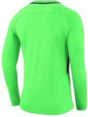 Свитер Nike Dry Park III, зеленый цена и информация | Футбольная форма и другие товары | kaup24.ee