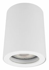 Laevalgusti Light Prestige FARO, valge цена и информация | Потолочные светильники | kaup24.ee