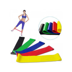 Набор резинок для тренировок, разноцветный, 5 шт. цена и информация | Аксессуары для тренажеров | kaup24.ee