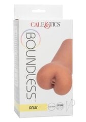 Masturbaator Boundless Anus hind ja info | Sekslelud, masturbaatorid | kaup24.ee