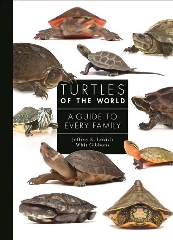 Turtles of the World: A Guide to Every Family hind ja info | Tervislik eluviis ja toitumine | kaup24.ee