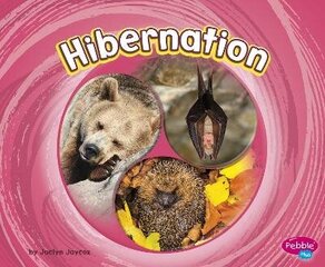 Hibernation hind ja info | Noortekirjandus | kaup24.ee