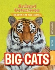 Big Cats hind ja info | Noortekirjandus | kaup24.ee