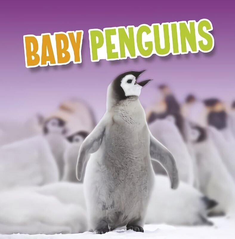 Baby Penguins цена и информация | Noortekirjandus | kaup24.ee