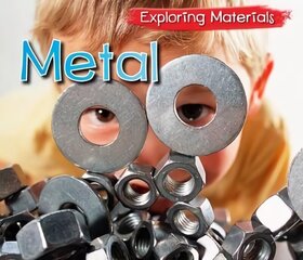 Metal цена и информация | Книги для подростков и молодежи | kaup24.ee