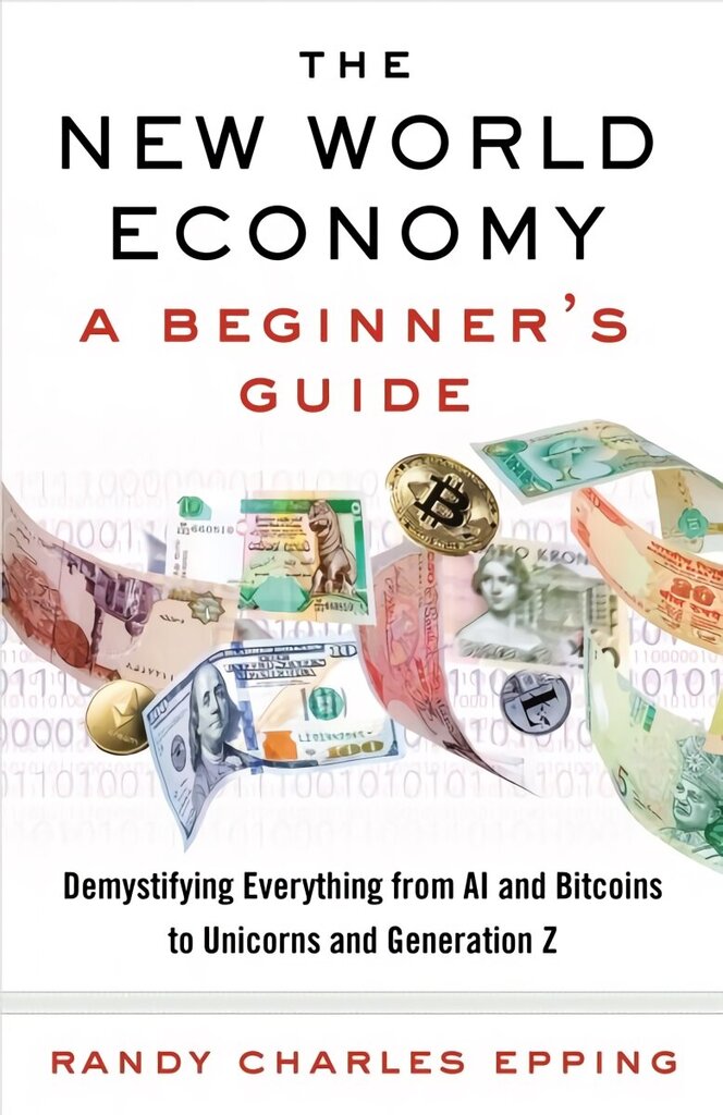 New World Economy: A Beginner's Guide: A Beginner's Guide hind ja info | Majandusalased raamatud | kaup24.ee