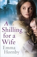 Shilling for a Wife цена и информация | Фантастика, фэнтези | kaup24.ee