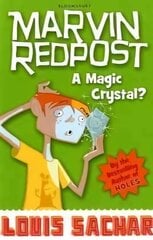 Magic Crystal?: Book 8 - Rejacketed цена и информация | Книги для подростков и молодежи | kaup24.ee