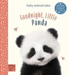 Goodnight, Little Panda: Simple stories sure to soothe your little one to sleep цена и информация | Книги для подростков и молодежи | kaup24.ee