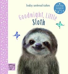 Goodnight, Little Sloth: Simple stories sure to soothe your little one to sleep цена и информация | Книги для подростков и молодежи | kaup24.ee