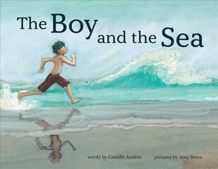 Boy and the Sea hind ja info | Väikelaste raamatud | kaup24.ee
