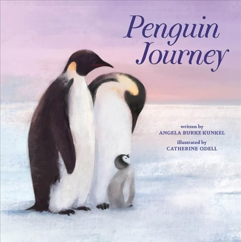 Penguin Journey hind ja info | Väikelaste raamatud | kaup24.ee