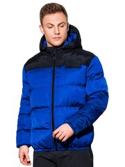 зимняя куртка C458 - синяя цена и информация | Мужские куртки | kaup24.ee