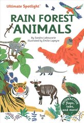 Ultimate Spotlight: Rain Forest Animals hind ja info | Väikelaste raamatud | kaup24.ee