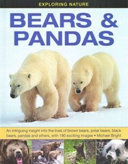 Exploring Nature: Bears & Pandas: An Intriguing Insight into the Lives of Brown Bears, Polar Bears, Black Bears, Pandas and Others, with 190 Exciting Images цена и информация | Книги для подростков и молодежи | kaup24.ee