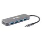 USB-jaotur D-Link DUB-2340 hind ja info | USB jagajad, adapterid | kaup24.ee