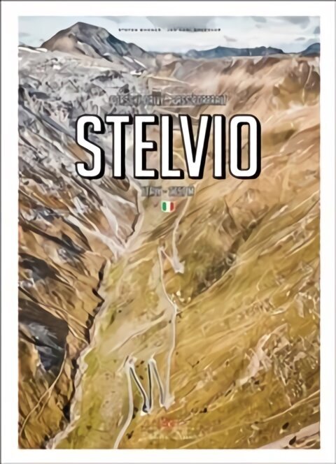 Porsche Drive: Stelvio: Pass Portraits; Italy 2757 m hind ja info | Reisiraamatud, reisijuhid | kaup24.ee