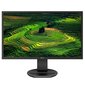 Philips 221B8LHEB/00 цена и информация | Monitorid | kaup24.ee