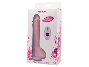 Vibe Remoto Control Marco hind ja info | Dildod | kaup24.ee