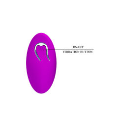 Вибратор Pretty Love Vibrating Egg Bradley Purple цена и информация | Вибраторы | kaup24.ee