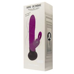 Vibe Bonnie ja Clyde Mini Purple hind ja info | Adrien Lastic Erootikakaubad | kaup24.ee