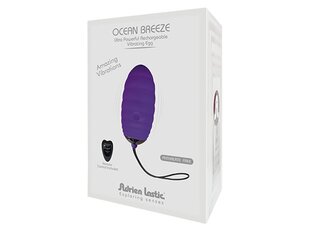 Vibreeriv muna kaugjuhtimispuldiga Ocean Breeze 2.0 lilla hind ja info | Adrien Lastic Erootikakaubad | kaup24.ee