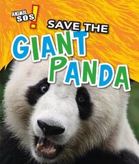 Save the Giant Panda hind ja info | Noortekirjandus | kaup24.ee