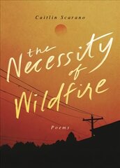 Necessity of Wildfire: Poems hind ja info | Luule | kaup24.ee