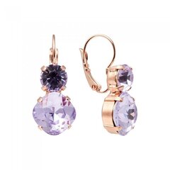 Naiste kõrvarõngad Diamond Sky „Glare (Violet)" koos Preciosa kristallidega DS02A489 hind ja info | Kõrvarõngad | kaup24.ee