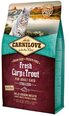 Carnilove Fresh Carp & Trout for Sterilised kassitoit 6 kg