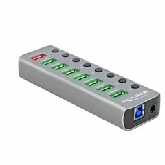 USB-разветвитель DELOCK 63264 цена и информация | Адаптер Aten Video Splitter 2 port 450MHz | kaup24.ee