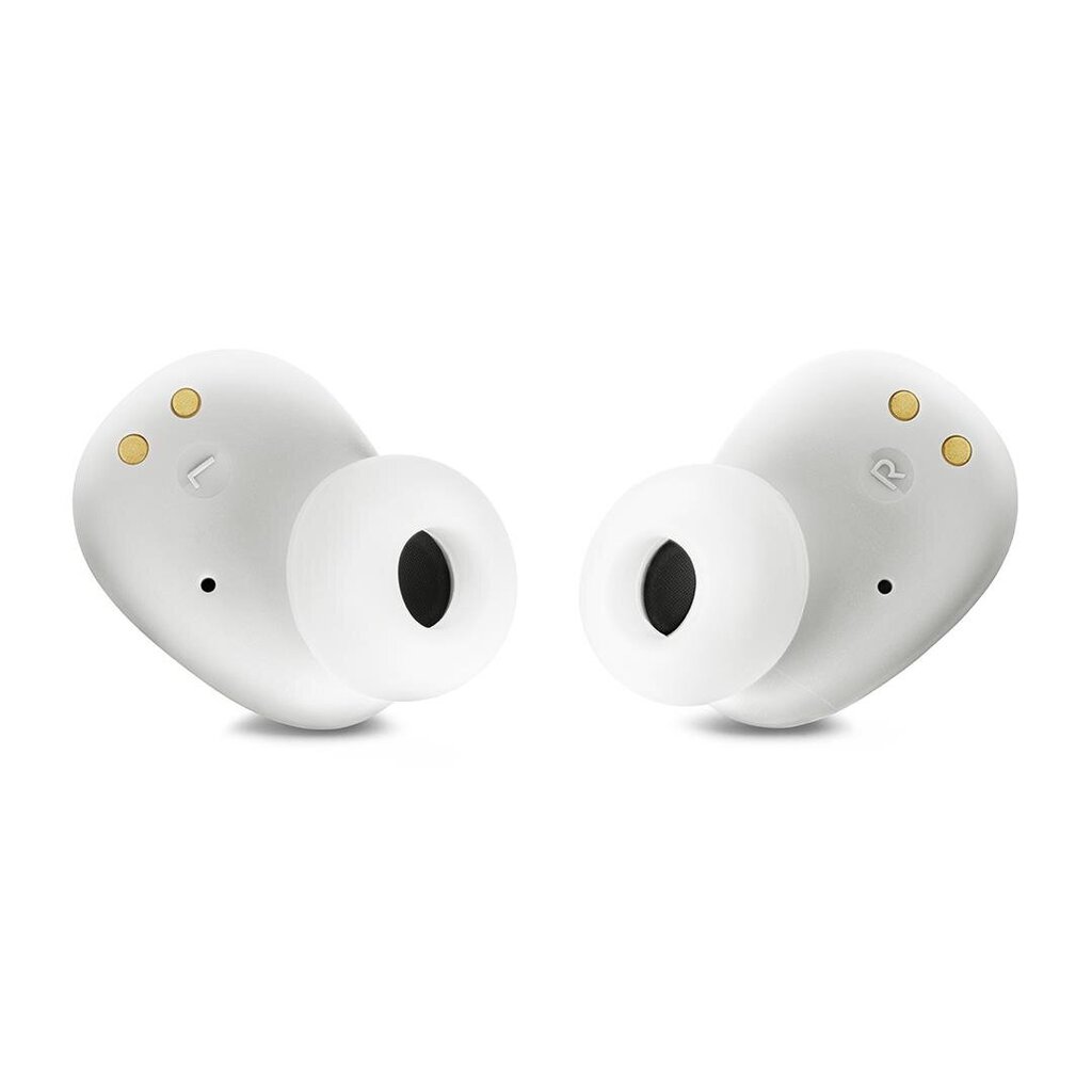 JBL Wave Buds TWS JBLWBUDSWHT цена и информация | Kõrvaklapid | kaup24.ee