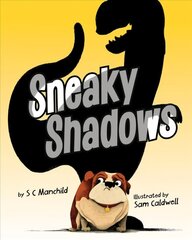 Sneaky Shadows hind ja info | Väikelaste raamatud | kaup24.ee