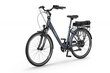 Elektriratas Ecobike Traffic 11,6 Ah Greenway, sinine hind ja info | Elektrirattad | kaup24.ee