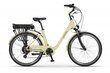 Elektriratas Ecobike Traffic 11,6 Ah Greenway, kollane цена и информация | Elektrirattad | kaup24.ee