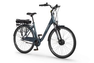 Электрический велосипед Ecobike Basic Nexus 11,6 Ач Greenway, синий цена и информация | Электровелосипеды | kaup24.ee