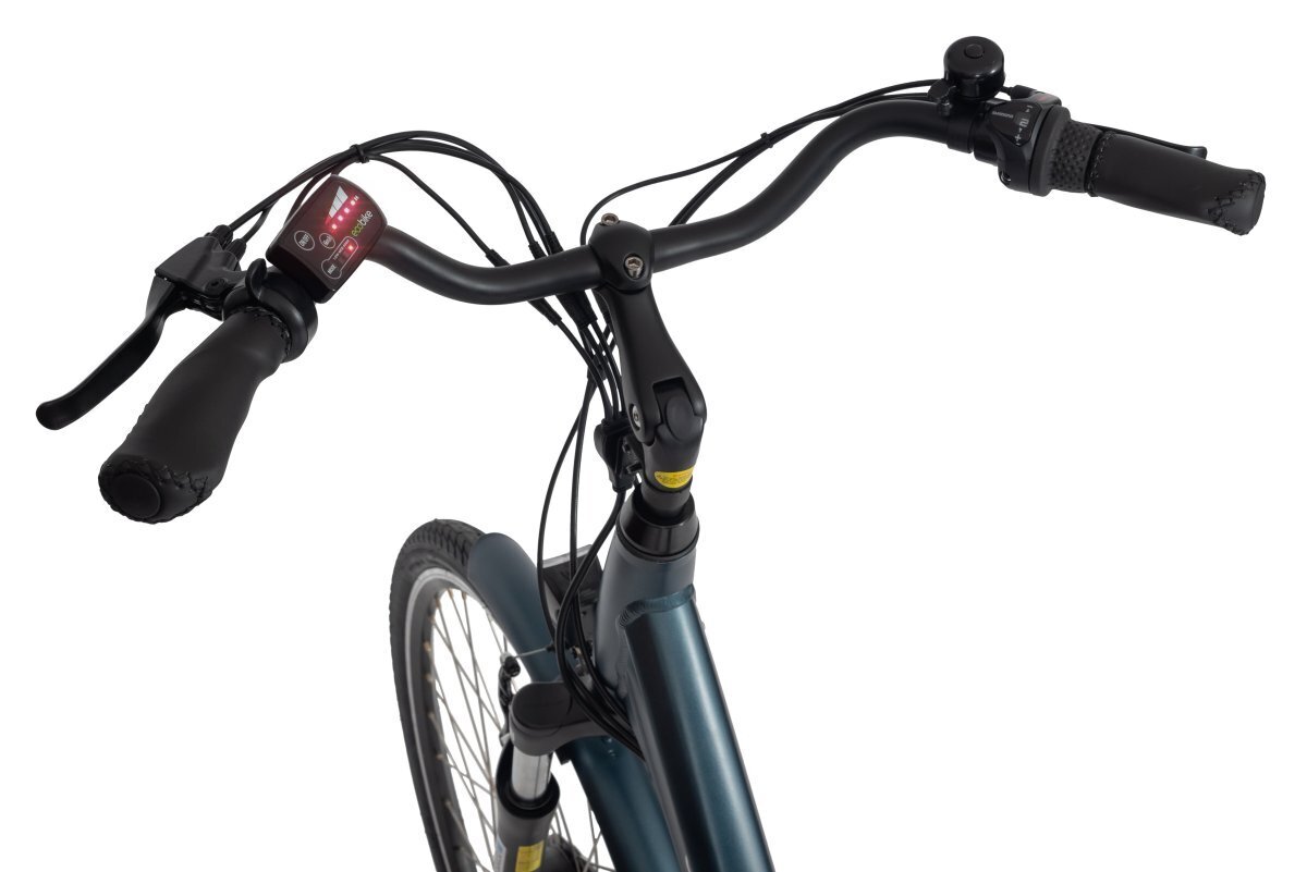 Elektriratas Ecobike Basic Nexus 11,6 Ah Greenway, sinine hind ja info | Elektrirattad | kaup24.ee