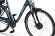 Elektriratas Ecobike Basic Nexus 11,6 Ah Greenway, sinine hind ja info | Elektrirattad | kaup24.ee