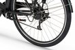 Elektriline jalgratas Ecobike Basic 11,6 Ah Greenway, must цена и информация | Elektrirattad | kaup24.ee