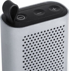 Bluetooth-динамик Schneider USB 450 mAh 2W цена и информация | Аудиоколонки | kaup24.ee