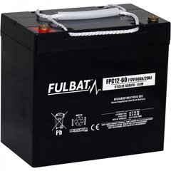 Aku Fulbat FPC12-60 T6 60 Ah 12V цена и информация | Аккумуляторы | kaup24.ee