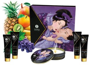 Komplekt Shunga The Geisha's Secret Kit Exotic Fruits, 5 osaline цена и информация | Наборы секс-товаров | kaup24.ee