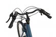 Elektrijalgratas Ecobike Basic 11,6 Ah Greenway, sinine hind ja info | Elektrirattad | kaup24.ee