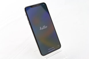 iPhone 11 Pro Max 64GB Silver (uuendatud, seisukord A), hõbedane hind ja info | Telefonid | kaup24.ee